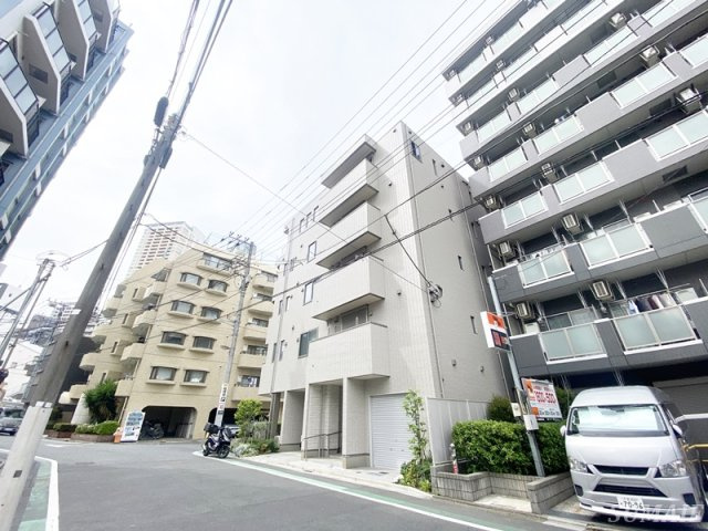 モンステラの外観|外観です☆