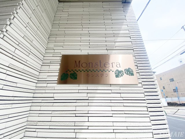 モンステラのその他|ランドマーク☆