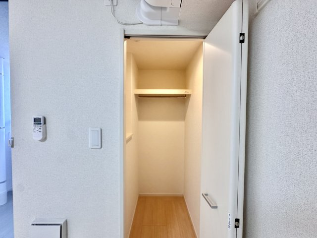コレクト　ライルの収納