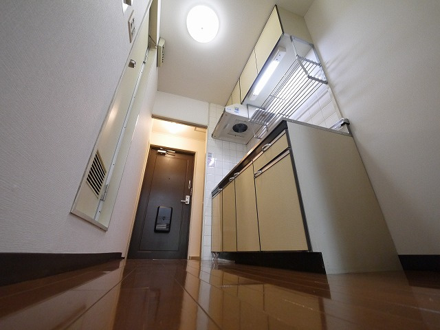 エクセレント河のキッチン