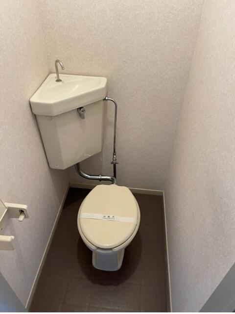 参考写真