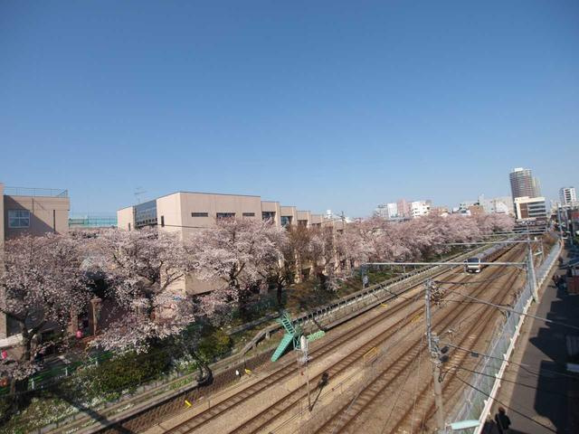 チェリーヒル東中野の展望|線路沿い桜並木まで10m