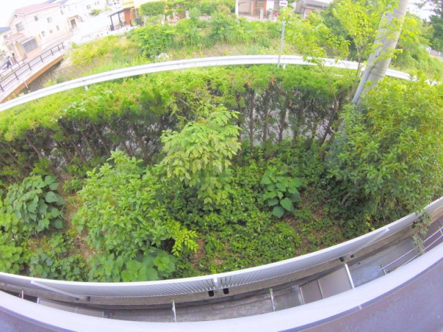 【展望】 | アモ花屋敷