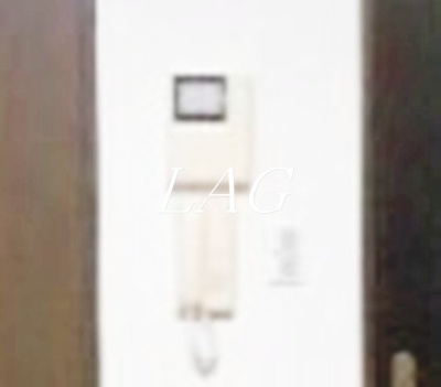 【セキュリティ】 | ヴェルファーレ彩 | モニター付きインターフォンです。