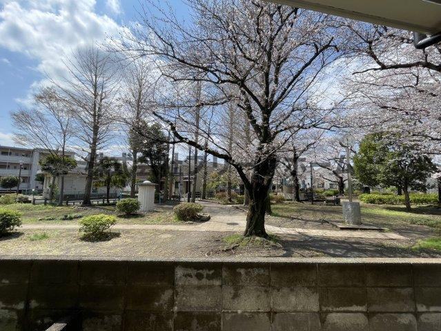 三鷹市上連雀１丁目のアパートの展望