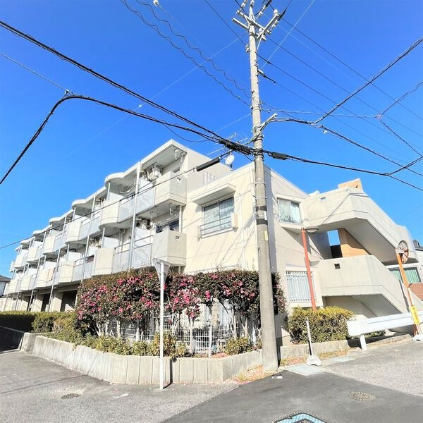 アルフエイムの外観