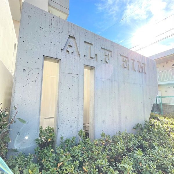 アルフエイムの外観