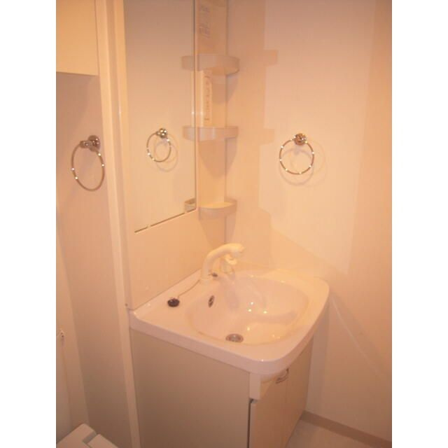 プレール・ドゥーク東京ＥＡＳＴ　Ⅳ　ＲｉｖｅｒＳｉｄｅの洗面所