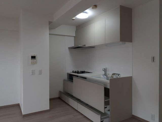 ヴォルフスガルデン熊本南Ｂ棟のキッチン