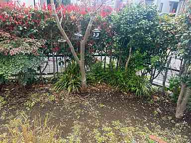 【庭】 | 芝久保町3丁目戸建