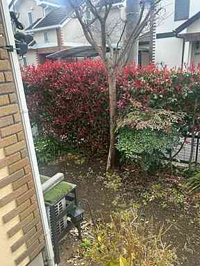 【庭】 | 芝久保町3丁目戸建