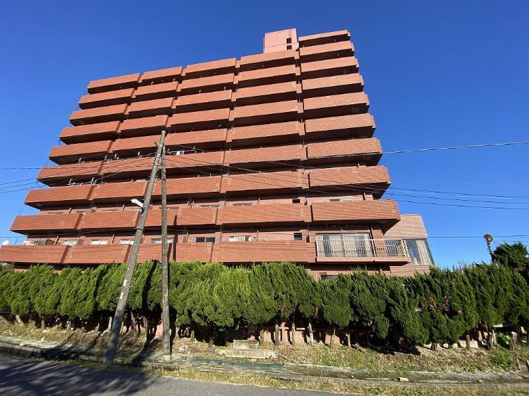 パノラマビュー白子