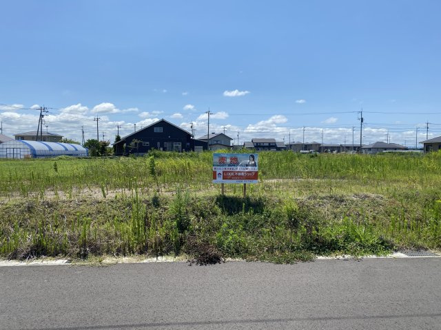 金田西売地