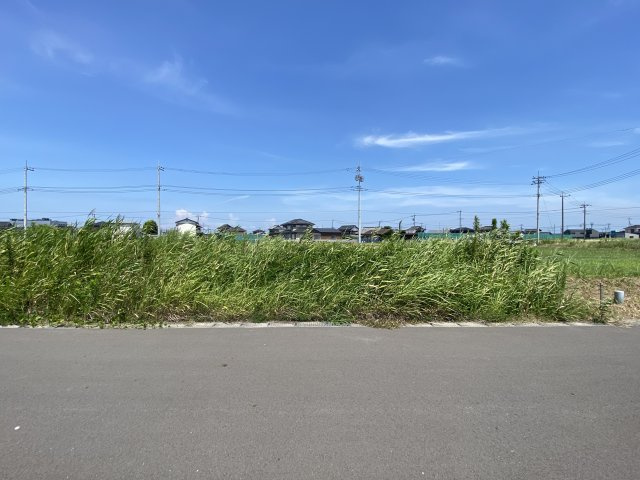 金田西売地