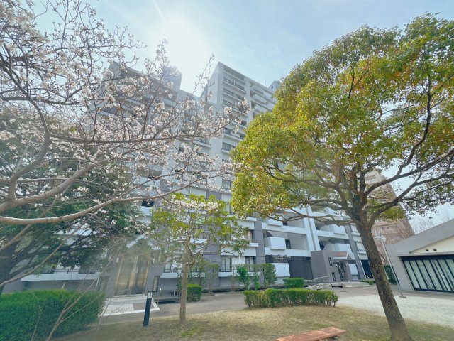 【庭】 | レークヒルズ野多目2番館☆仲介手数料無料☆ | 【子育て世帯に嬉しい環境】近隣にはお子様と遊べる公園や緑豊かなスポットがあり、のびのびとした環境で育児を楽しめます。歩道が整備されたエリアも多く、通学や毎日のお散歩も安心です。