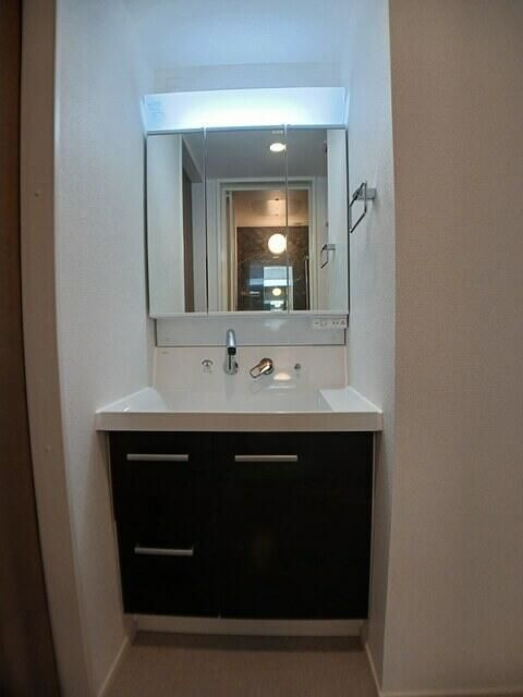 ピースフルⅢの洗面所