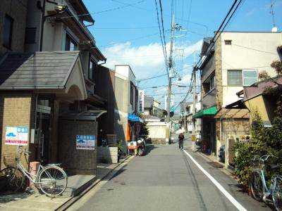 パラーシオ聚楽の周辺|前面道路