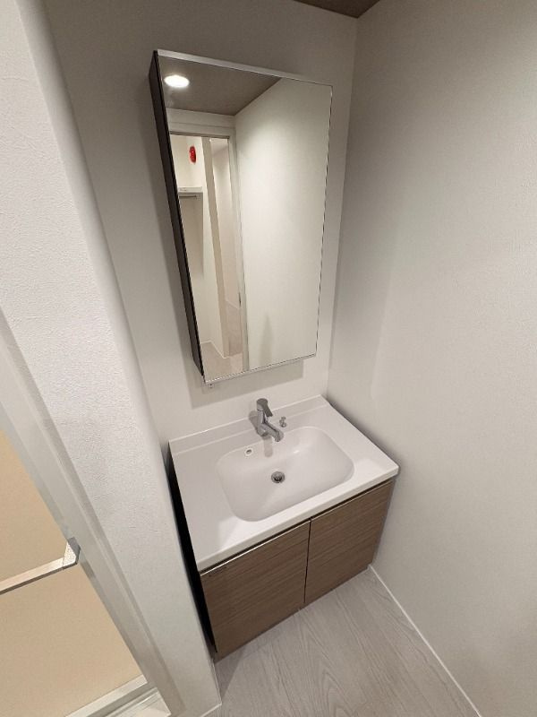 LEGALAND桜新町ANNEXの独立洗面台