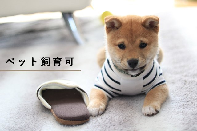 プレシス千葉みなとベイフロントの設備