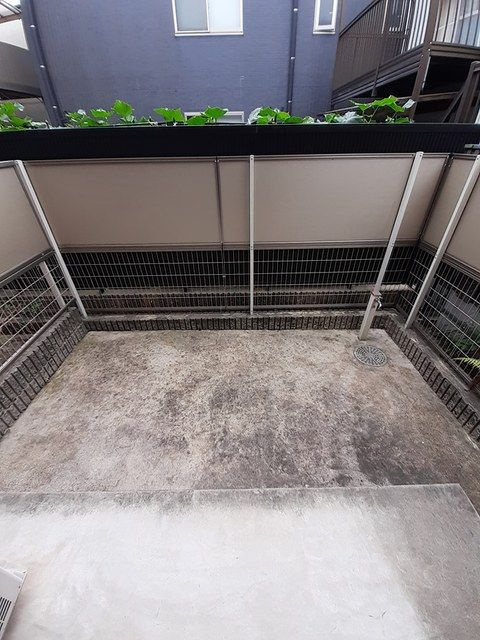 バイオレットの庭