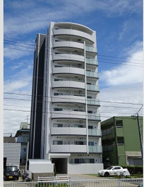 ロイヤルピジョン ライズ