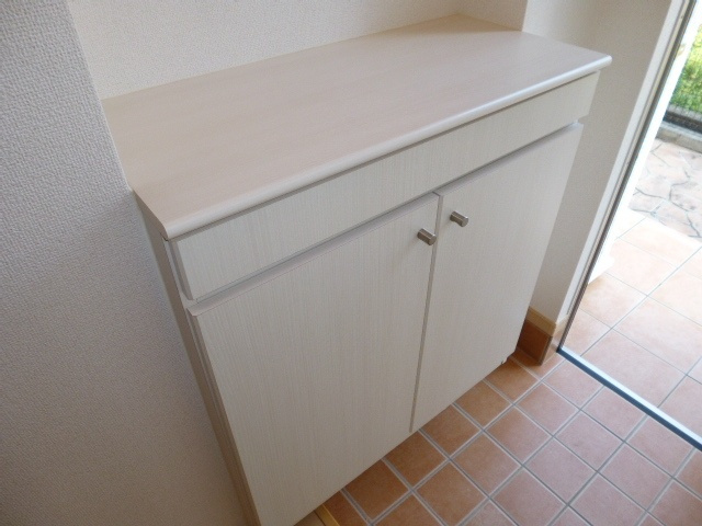 セイバリーＫⅡの内装|シューズボックス