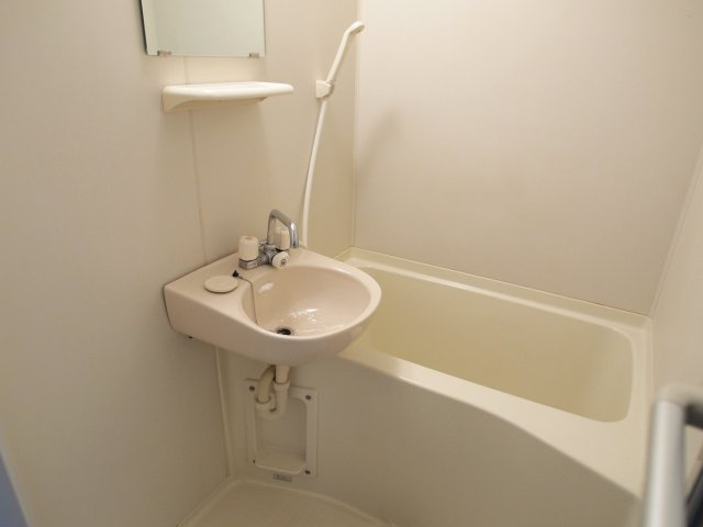 ドエル堀江南の洗面所