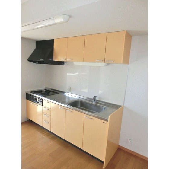 熊本市南区出仲間７丁目の賃貸マンションのキッチン