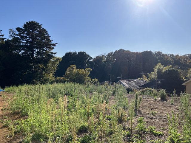 菅田町　売地の外観