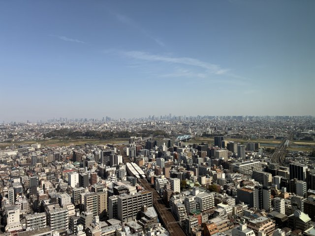 エクラスタワー武蔵小杉の展望|リビングからの眺め