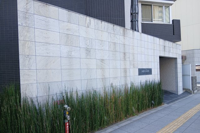 アデレイド新福島のその他
