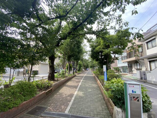 大島緑道公園まで298m