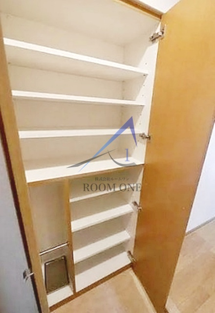 オリーブ　スクエア