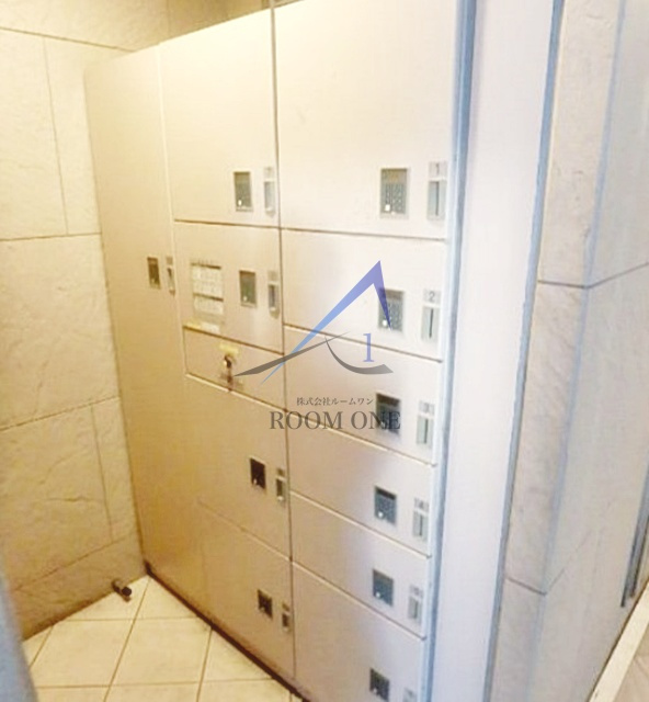 オリーブ　スクエア