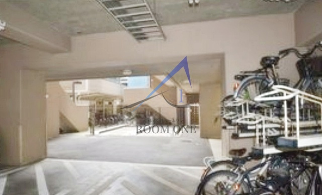 オリーブ　スクエア