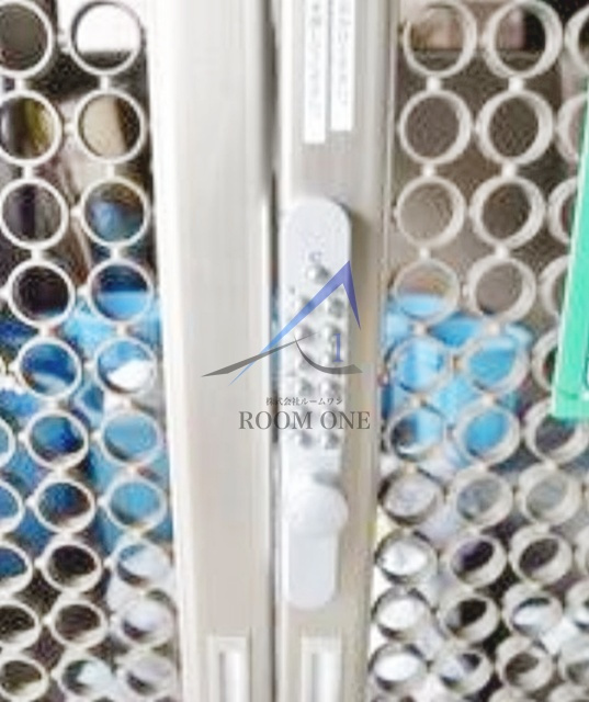 オリーブ　スクエア