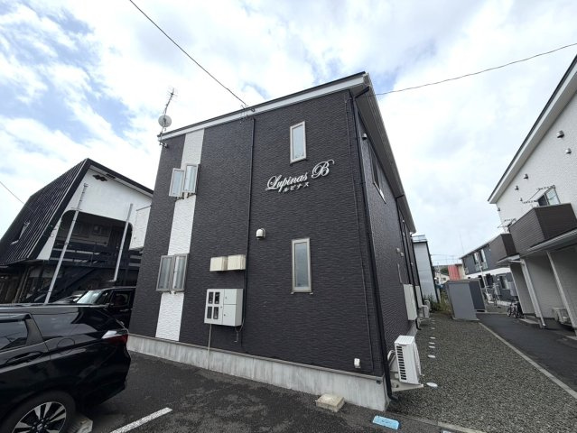 ルピナス