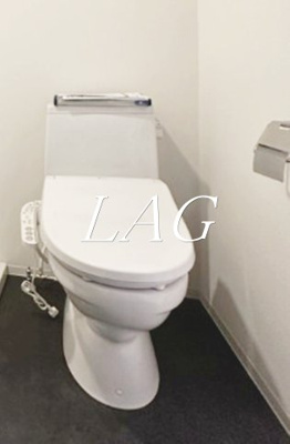 【トイレ】 | ｔｒｉａｓ３２１ | トイレです。