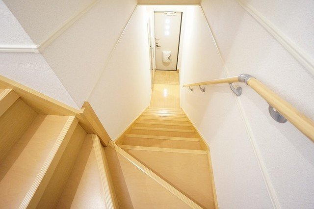 プラシードの玄関