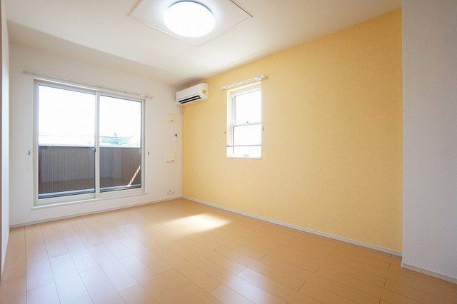 プラシードのその他