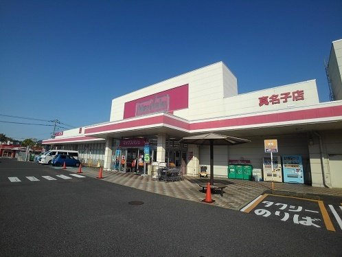 プラシードの周辺|マックスバリュー真名子店まで2900m