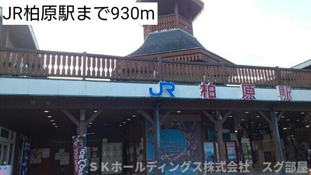 シャン・ド・フルールの周辺|JR柏原駅まで930m