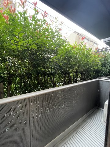 ハウゼ・クラーレの展望