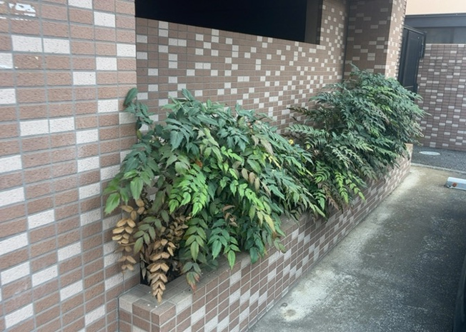 【庭】 | センチュリー八王子南町 | 庭があることでガーデニングや家庭菜園はもちろん、こどもの遊び場やペットを放して遊ぶことができます。また、家の周囲に余裕があるということです。隣地との間があれば、十分な日当たりと、風通しが確保できます。
