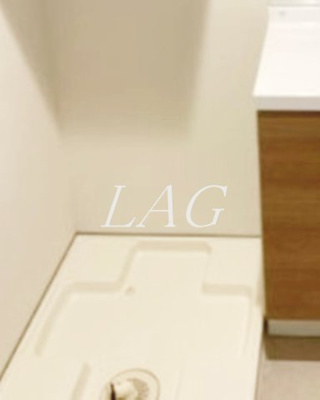 【設備】 | クレヴィスタ中板橋Ⅱ | 室内洗濯置き場です。