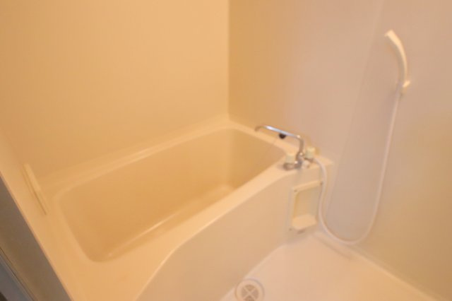 ツインコート帝塚山の浴室