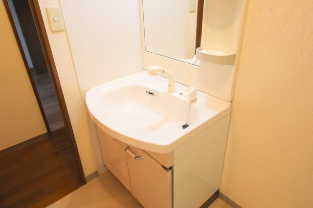 ツインコート帝塚山の洗面所