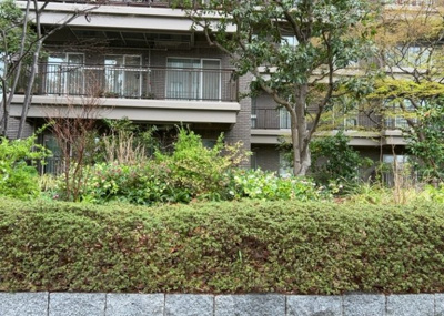 【中庭】 | エステ・スクエア成瀬壱番館 | 中庭（パティオ）とは、一つの建築物の内部に設けられた、壁などで囲われている庭のことを指します。コの字型、ロの字型が主流ですが、L字型の中庭もあります。最近では、インテリア性の高さからも人気があります。