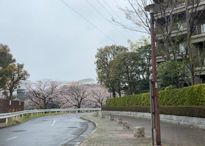 【展望】 | エステ・スクエア成瀬壱番館 | 景色重視でお家選ぶをするとスーパーが遠い！学校が遠い！など生活をするうえで利便性で困ることもあります。まず一度現地を見学する際に、周辺の施設などがあるかを確認し、暮らし始めた後のことを想像しましょう。