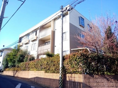 【展望】 | 成宗